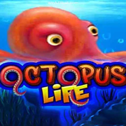 Exploring OctopusLife: A Dive into Brazil's Premier Online Casino Experience